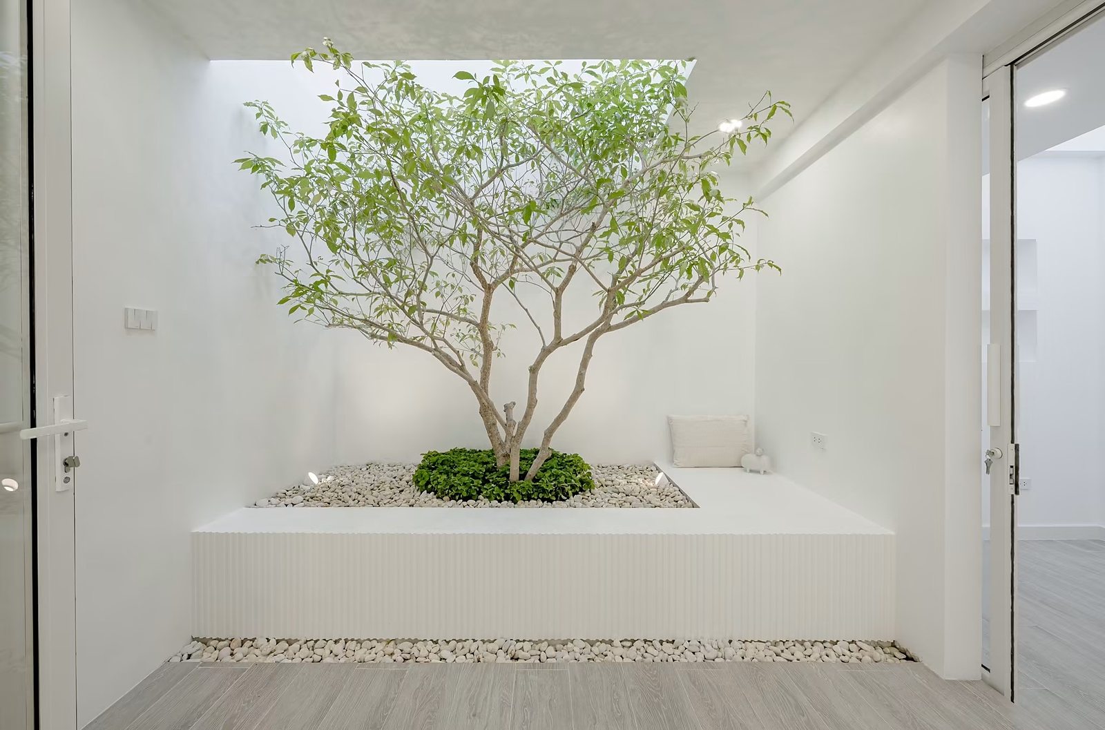 Artiar Pridi–Ekkamai — Pridi Banomyong 42: Indoor courtyard garden