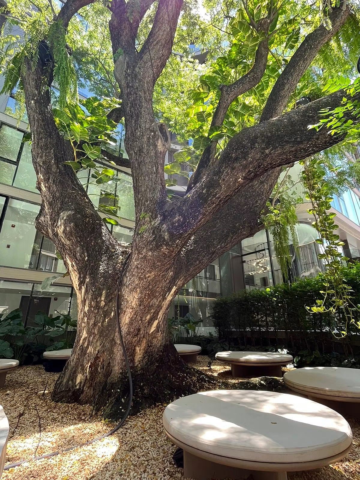 FYNN Asoke: Garden courtyard