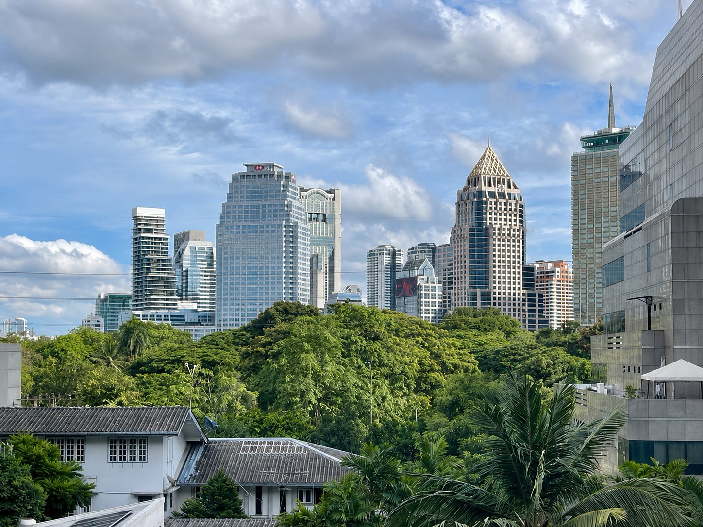 Noble Ambience Sarasin: City view